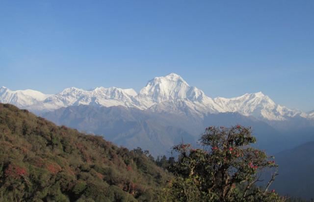 Trek v oblasti Annapurny