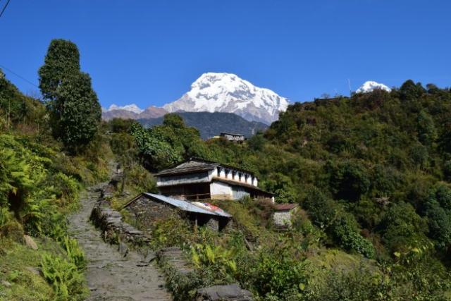 Annapurna trek