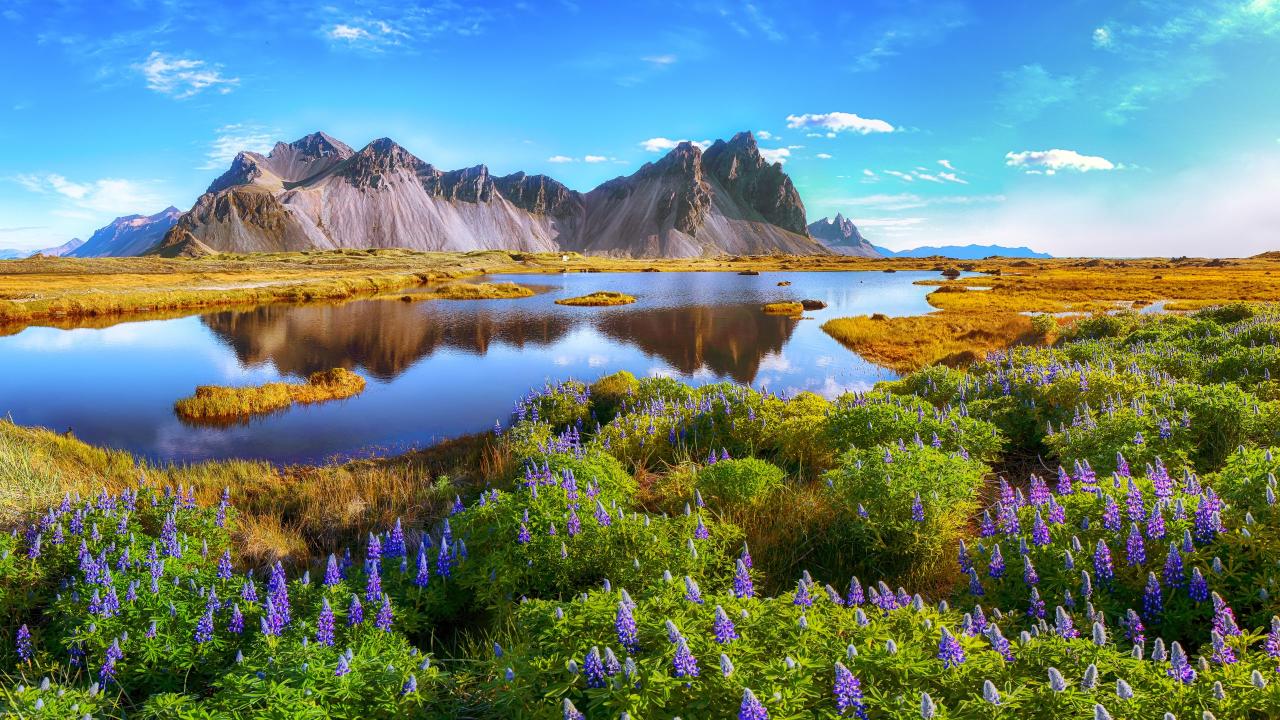 Vestrahorn