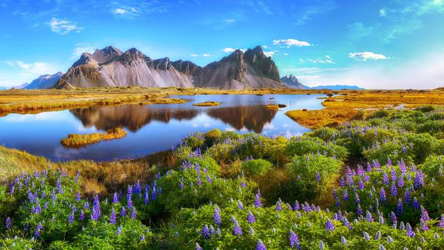 Vestrahorn