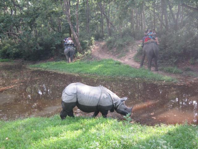 Nepál, Chitwan