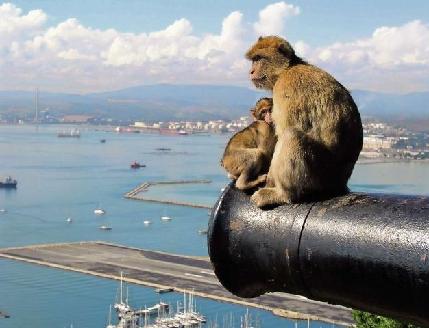 Gibraltar