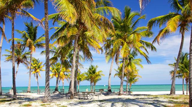 Crandon Park