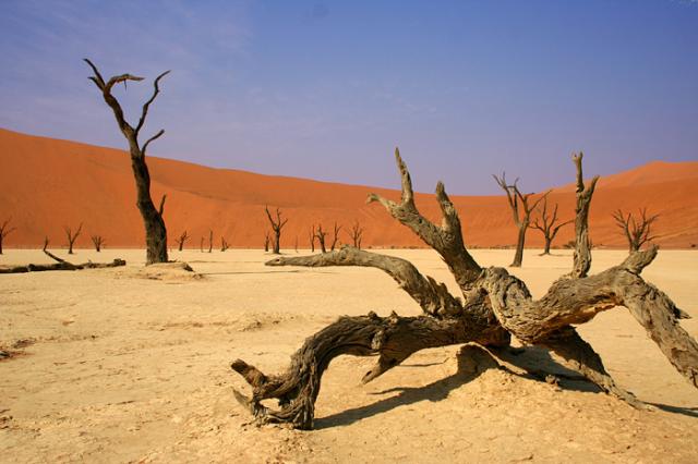 Dead Vlei