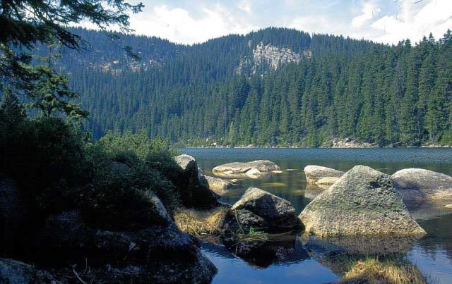 Šumava