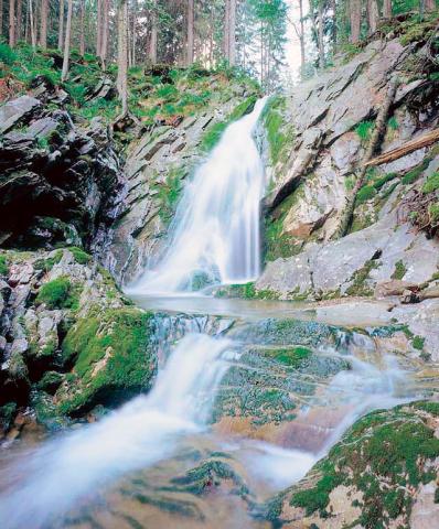 Šumava