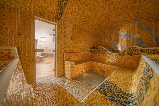 Wellness Hotel, Patince