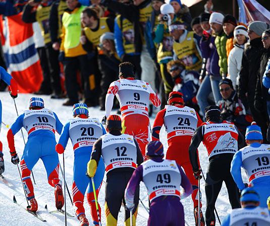 fiemme detail