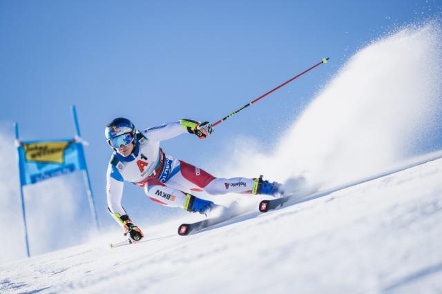 Alpské lyžování