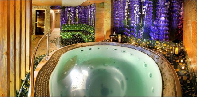 hotel fis