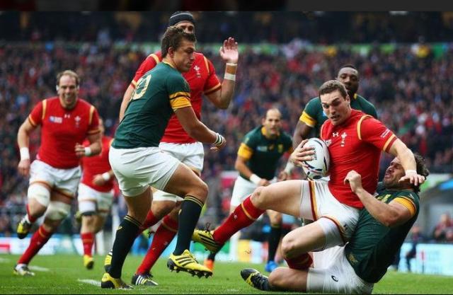 Ragby - Wales-Argentina