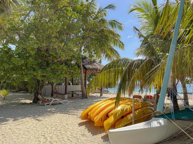 Malahini