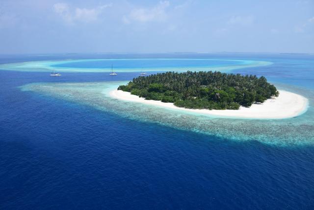 Malahini
