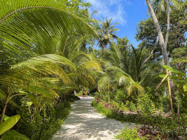 Malahini