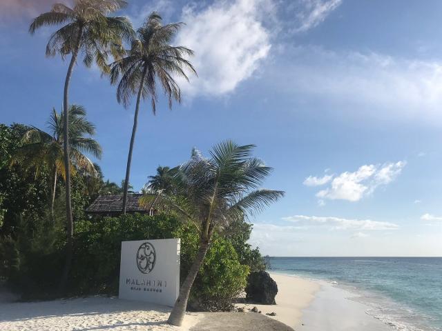 Malahini