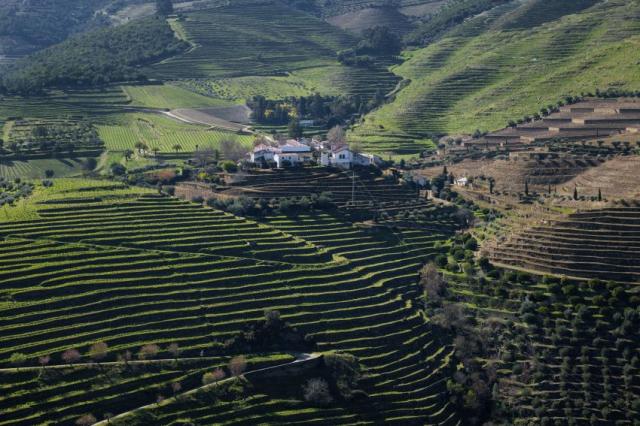 Douro