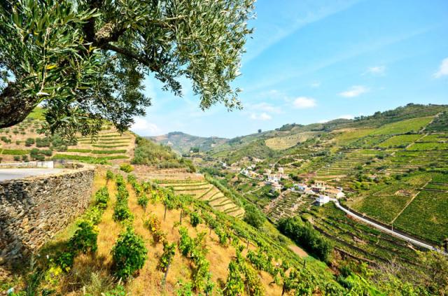 Douro