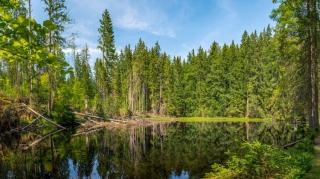 Šumava