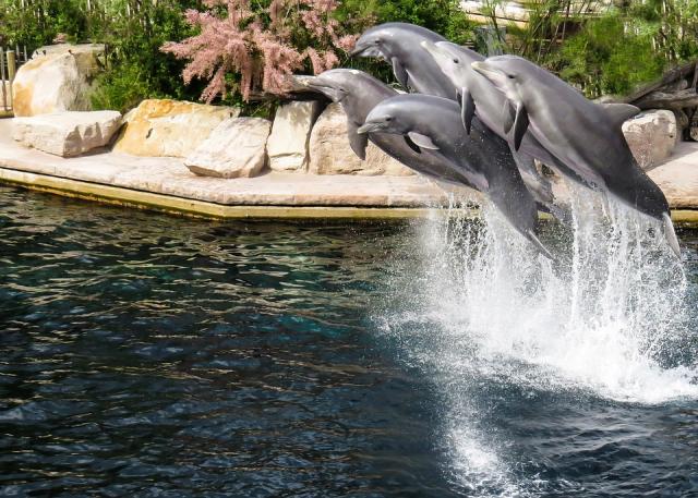 Norimberk ZOO