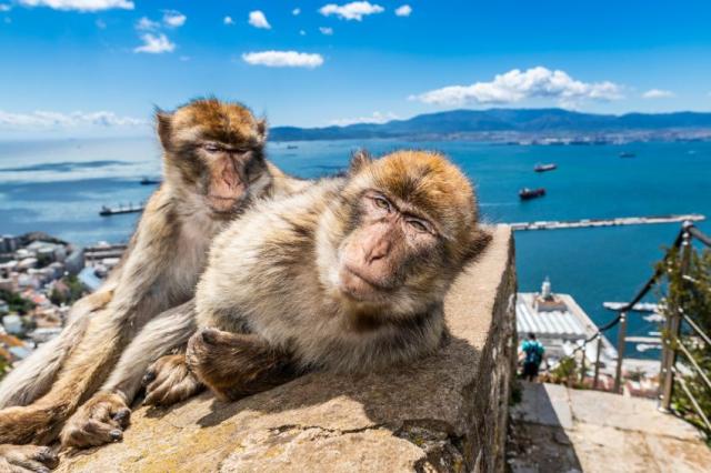 Gibraltar