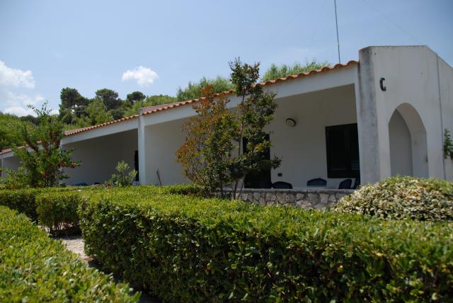 San Lorenzo