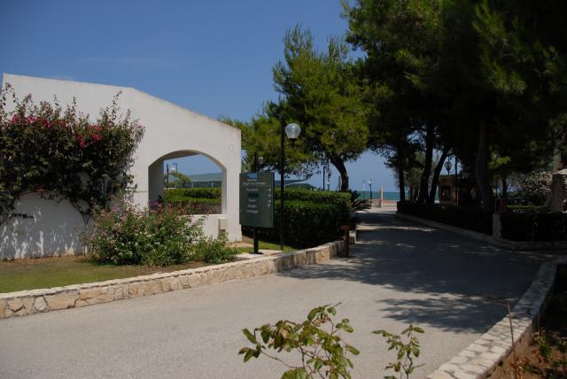 San Lorenzo