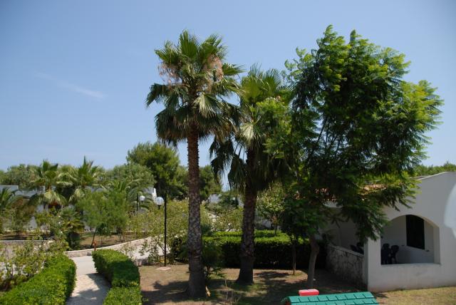 San Lorenzo