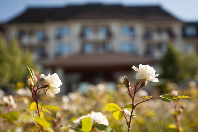 Greenfield Golf & Spa