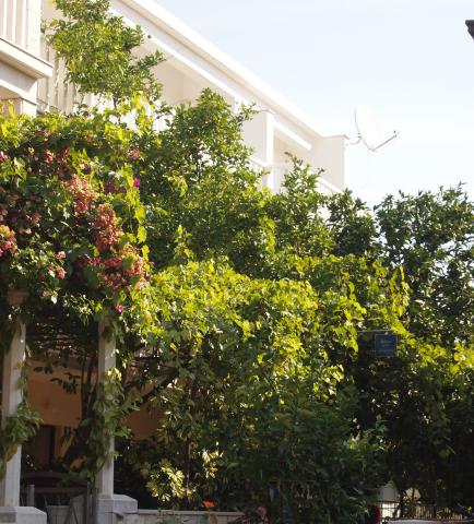 Villa Jelena