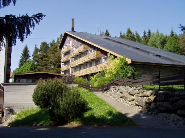 Srní