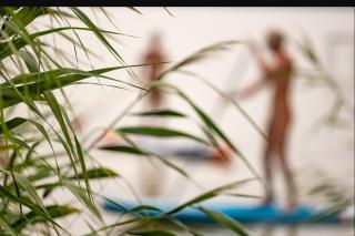Balatontourist Camping Naturist Berény