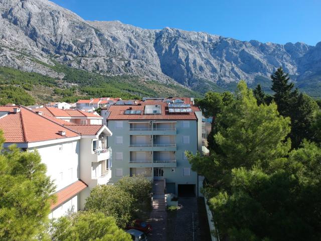 Ruža