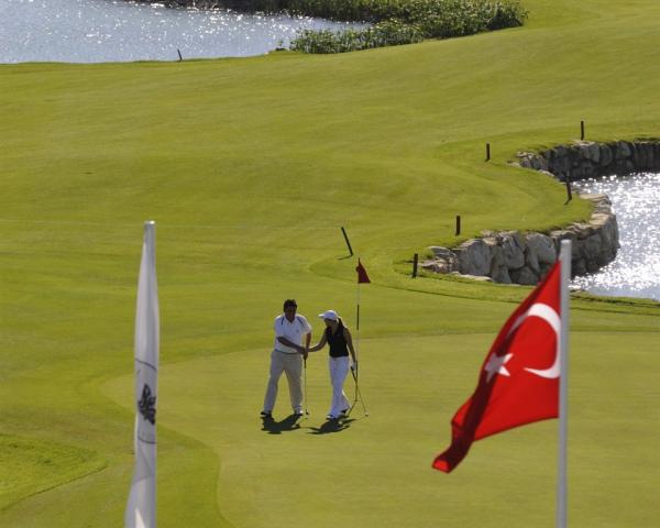 Web_AYTGolf1L-2.jpg