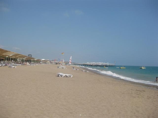 IMG_00441.JPG