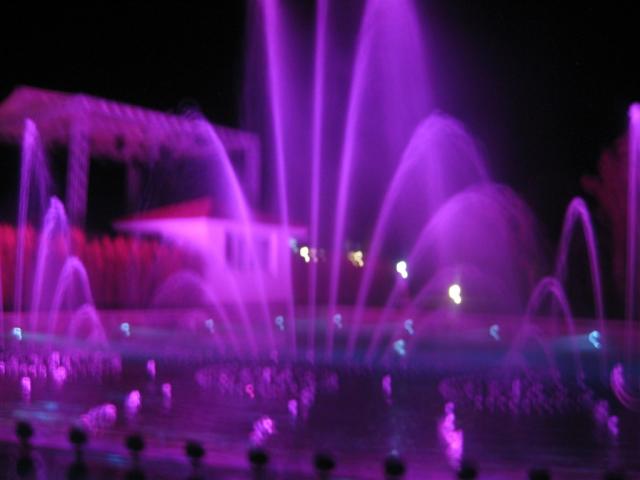 IMG_0050.JPG