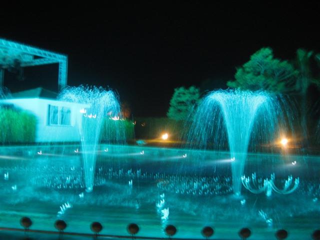 IMG_00772.JPG