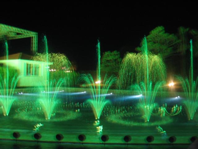IMG_00951.JPG
