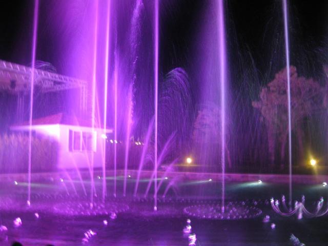 IMG_01021.JPG