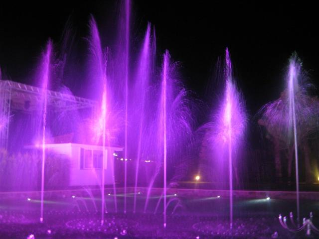 IMG_01032.JPG