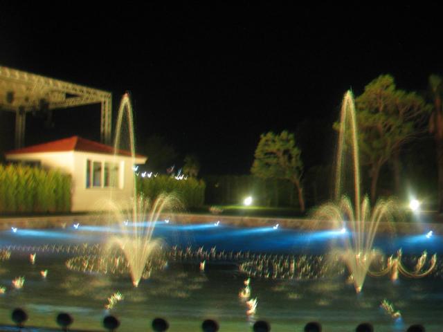 IMG_00942.JPG