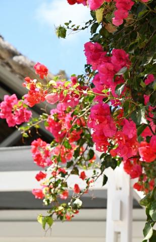 Veranda Palmar Beach 2 (2).JPG