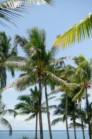 Veranda Palmar Beach 2 (3).JPG