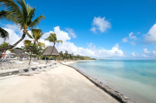Ambre Mauritius 2 (3)