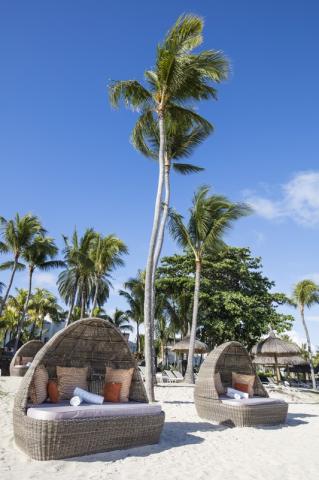Ambre Mauritius 2 (7)