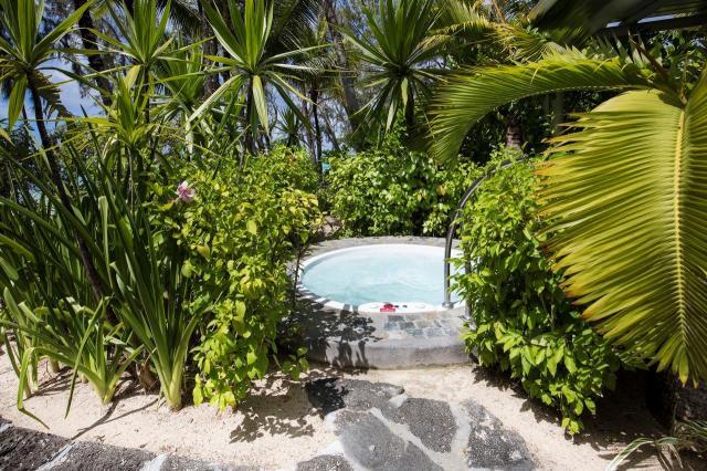 Ambre Mauritius 5 (2)