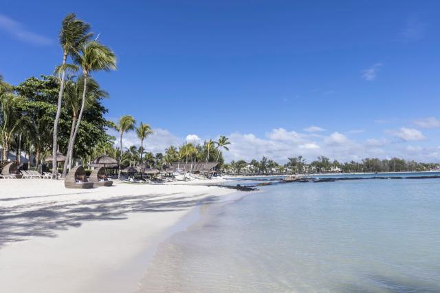 Ambre Mauritius 1 (3)