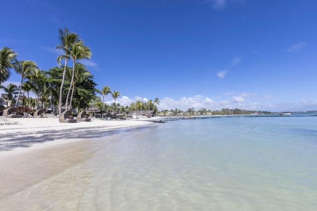 Ambre Mauritius 1 (4)