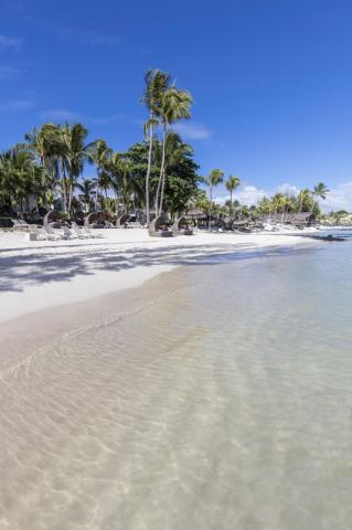Ambre Mauritius 1 (6)