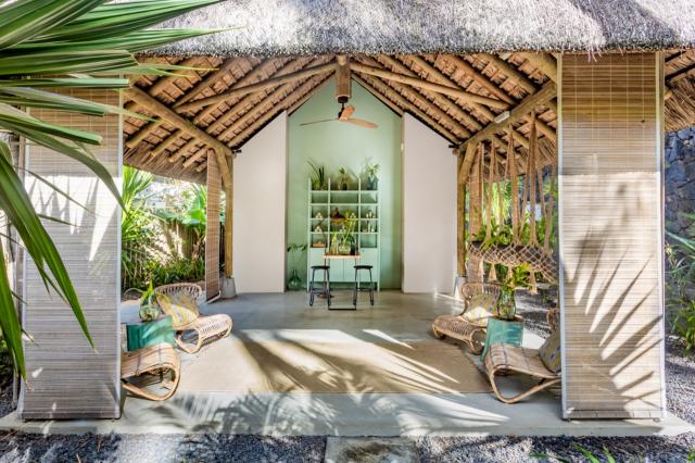 Tropical Attitude 5 (5)