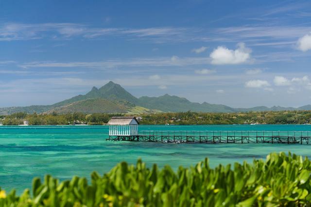 Tropical Attitude 1 (2)